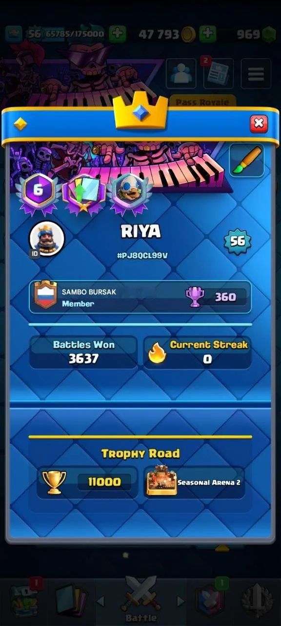 CR521 Maxed Level 15 Collection, 11 Evolutions, 74 Emotes, 80 Banners 